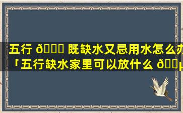 五行 🐘 既缺水又忌用水怎么办「五行缺水家里可以放什么 🌵 比较好」